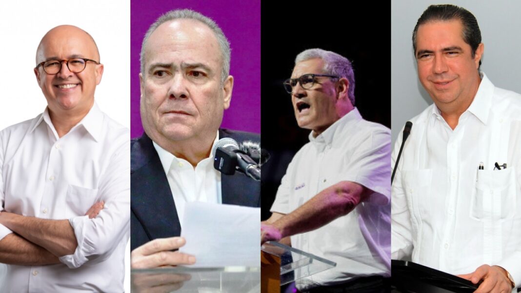 PLD define ocho aspirantes presidenciales en su proceso interno