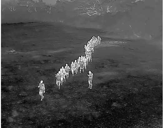 Detienen a 65 extranjeros indocumentados durante operativo en Montecristi