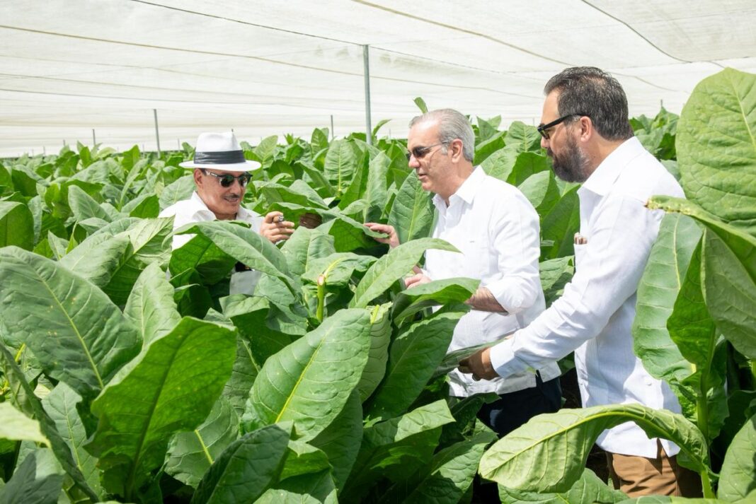 Presidente visita finca tabacalera de Arturo Fuente en Monte Plata