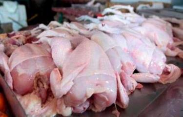 pollo_16961254_20210803145516-focus-0-0-375-240
